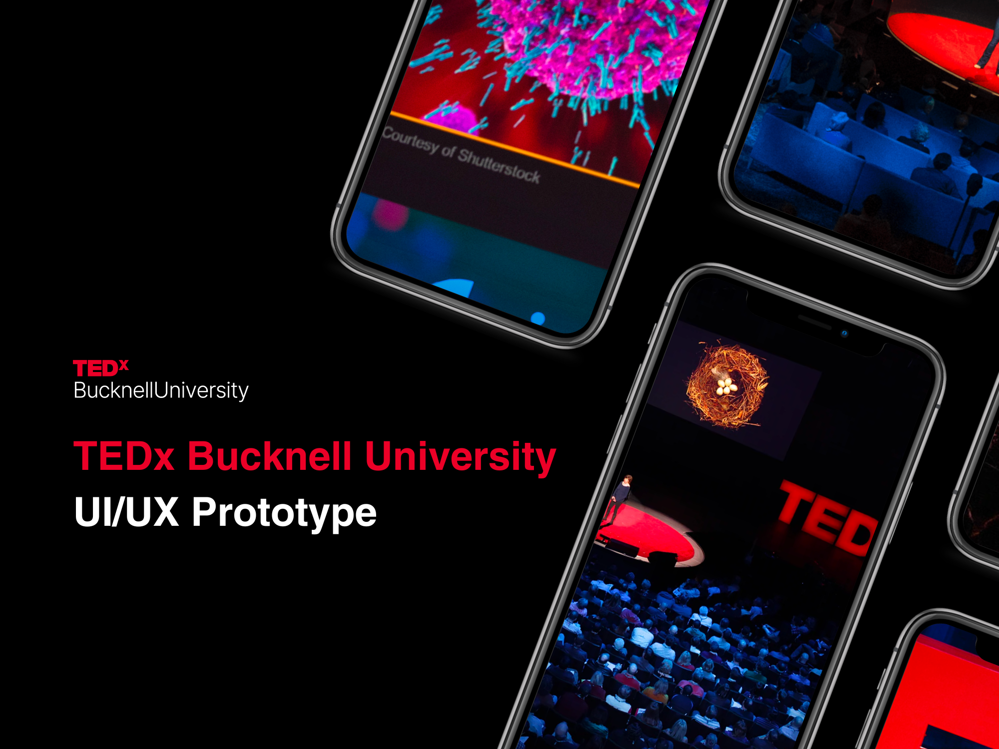 TEDx Bucknell University (UI/UX)